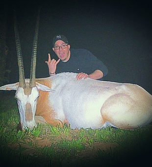 Scimitar Bull In Texas